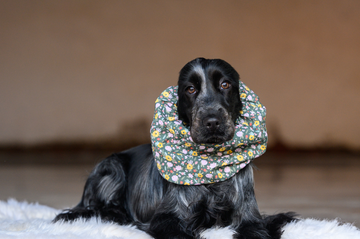 Snoods voor honden met lange oren, handgemaakte honden snoods voor Cocker Spaniëls en andere spaniels, Dog - Expert webshop voor gespecialiseerd hondenmateriaal 