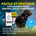 Dogtra Smart NoBark anti-blafband voor honden met app, triple detectiesysteem voor nauwkeurige blaf-, jank- en huildetectie, instelbare gevoeligheid en stimulatieniveaus, waterdichte ontvanger en vibratiefunctie, Dog - Expert webshop voor gespecialiseerd hondenmateriaal