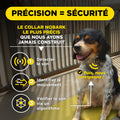 Dogtra Smart NoBark anti-blafband voor honden met app, triple detectiesysteem voor nauwkeurige blaf-, jank- en huildetectie, instelbare gevoeligheid en stimulatieniveaus, waterdichte ontvanger en vibratiefunctie, Dog - Expert webshop voor gespecialiseerd hondenmateriaal