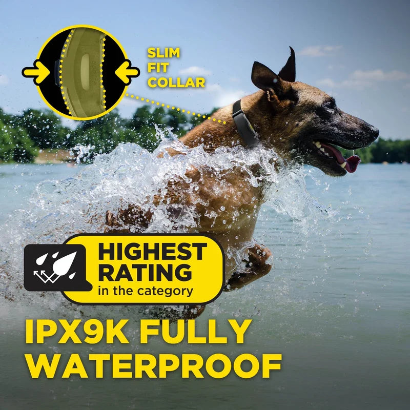 Dogtra ARC-X Kit 1 hond professionele trainingsband met 1,2 km bereik, ergonomische waterdichte trainingshalsband met 100 stimulatieniveaus, vibratie en LED-verlichting voor hondentraining, Dog - Expert webshop voor gespecialiseerd hondenmateriaal