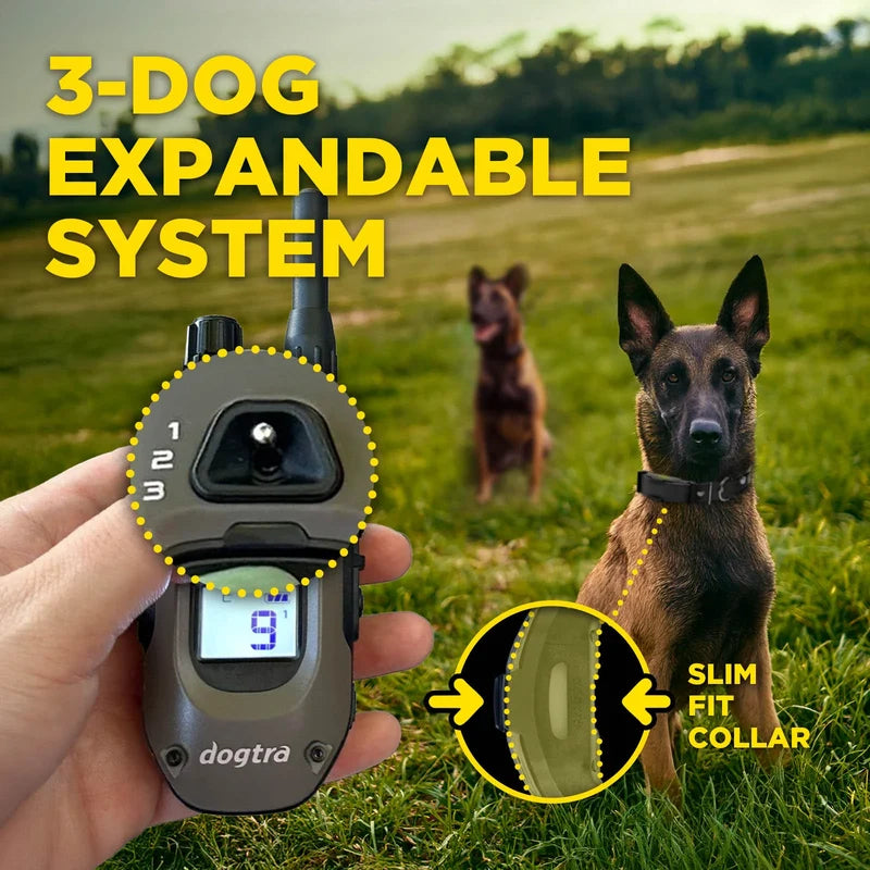 Dogtra ARC-X Kit 1 hond professionele trainingsband met 1,2 km bereik, ergonomische waterdichte trainingshalsband met 100 stimulatieniveaus, vibratie en LED-verlichting voor hondentraining, Dog - Expert webshop voor gespecialiseerd hondenmateriaal