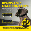 Dogtra ARC-X Kit 1 hond professionele trainingsband met 1,2 km bereik, ergonomische waterdichte trainingshalsband met 100 stimulatieniveaus, vibratie en LED-verlichting voor hondentraining, Dog - Expert webshop voor gespecialiseerd hondenmateriaal