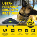 Dogtra ARC-X Kit 1 hond professionele trainingsband met 1,2 km bereik, ergonomische waterdichte trainingshalsband met 100 stimulatieniveaus, vibratie en LED-verlichting voor hondentraining, Dog - Expert webshop voor gespecialiseerd hondenmateriaal