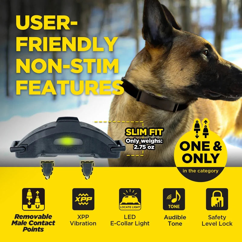 Dogtra ARC-X Kit 1 hond professionele trainingsband met 1,2 km bereik, ergonomische waterdichte trainingshalsband met 100 stimulatieniveaus, vibratie en LED-verlichting voor hondentraining, Dog - Expert webshop voor gespecialiseerd hondenmateriaal