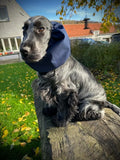 Waterdichte snood voor honden met lange oren, ideaal voor zwemmen en wandelen.
