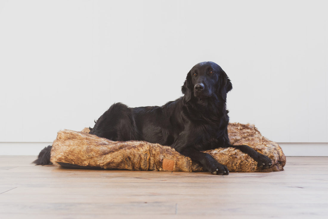 "Boony ligkussen voor honden van zacht bruin pluche, comfortabel en knus, afmetingen 100x70 cm, ideaal om op te liggen en te ontspannen."