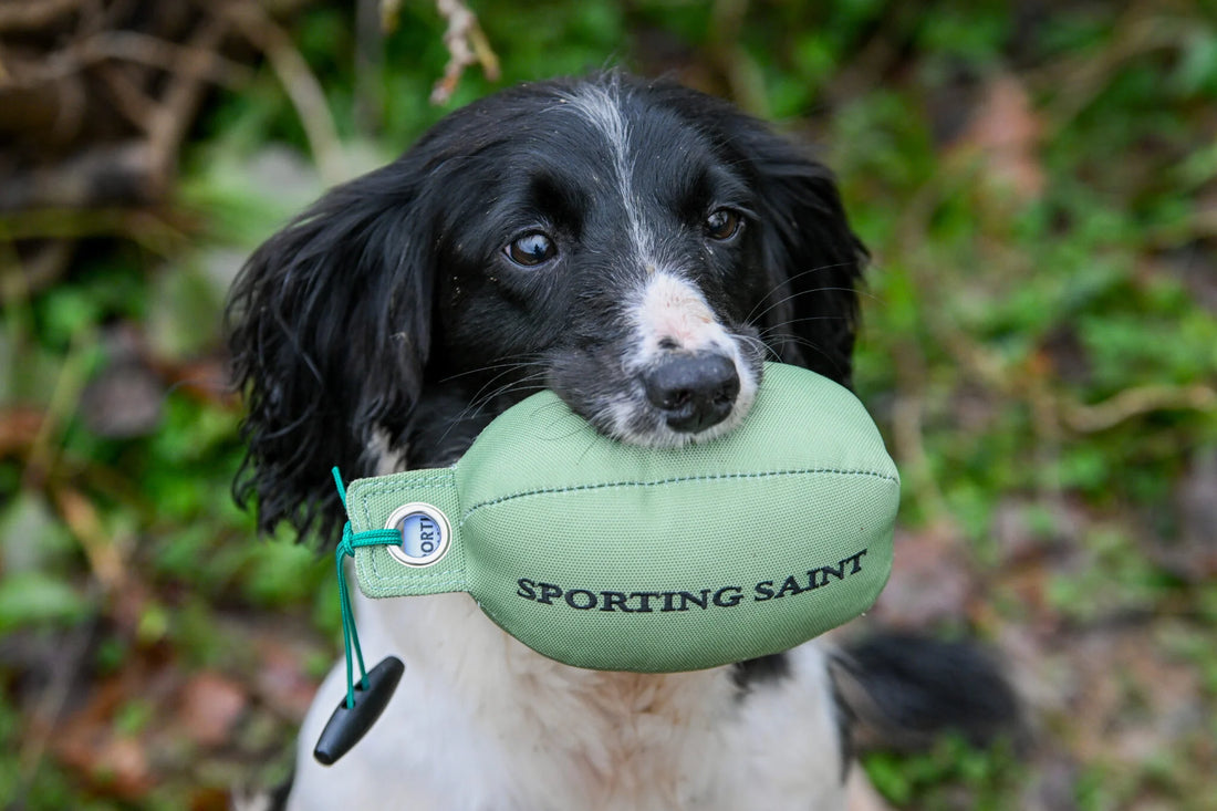 Retrieve Dummy