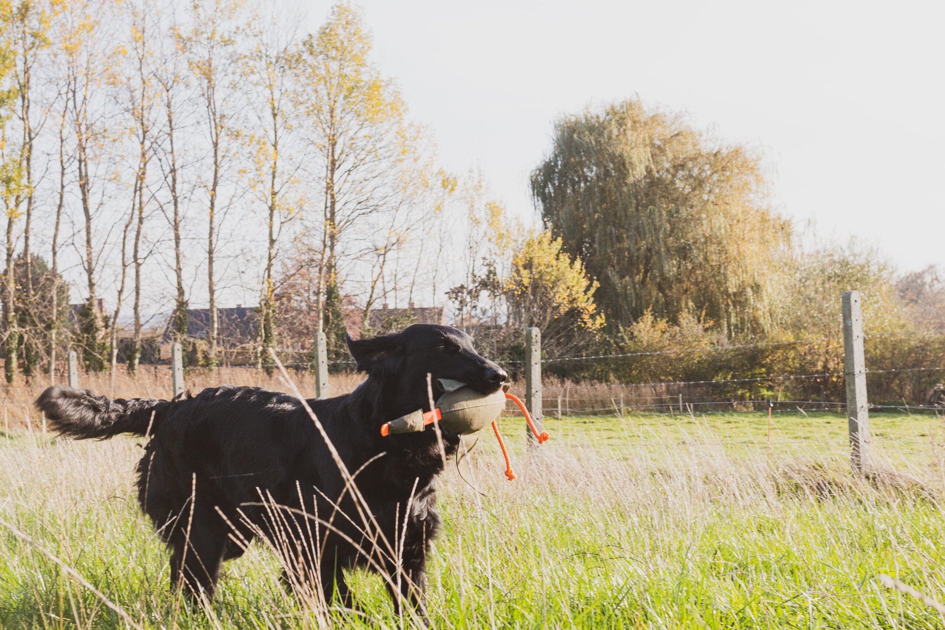 Dummy eend voor hondentraining, gemaakt van sterk en duurzaam nylon, met realistische vogelvorm en vleugels, drijvend op water, geschikt voor land- en watertraining en gebruik met trainingsgeuren.