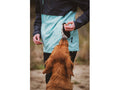Firedog New Quick Reward Pouch beloningstasje voor hondentraining, compact en lichtgewicht snacktas voor gehoorzaamheid, puppytraining, jacht- en agilitytraining, praktische en hygiënische reward pouch met snelle toegang tot beloningen, Dog - Expert webshop voor gespecialiseerd hondenmateriaal