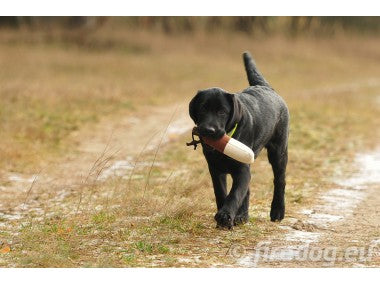 Junior Dummy van 300 g voor jonge honden, met afgerond lijf voor gemakkelijke grip, ergonomische kunststof knevel, duurzaam materiaal, geschikt voor watertraining en gebruik met trainingsgeuren.