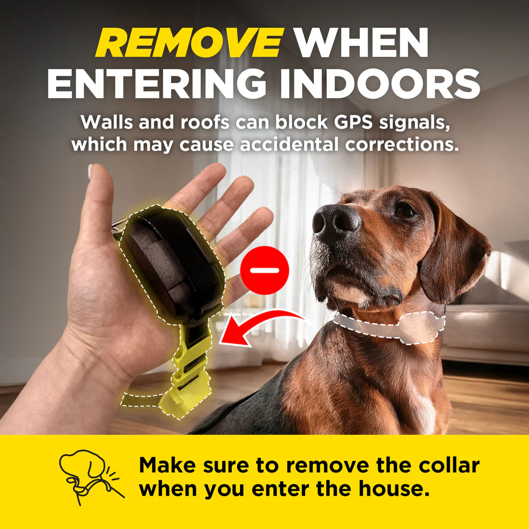 Dogtra GPS Fence draadloze GPS hondenomheining zonder abonnement, waterdichte GPS-halsband met virtuele omheining, veilige trainingsfuncties en instelbare grenzen voor grote tuinen en terreinen, Dog - Expert webshop voor gespecialiseerd hondenmateriaal