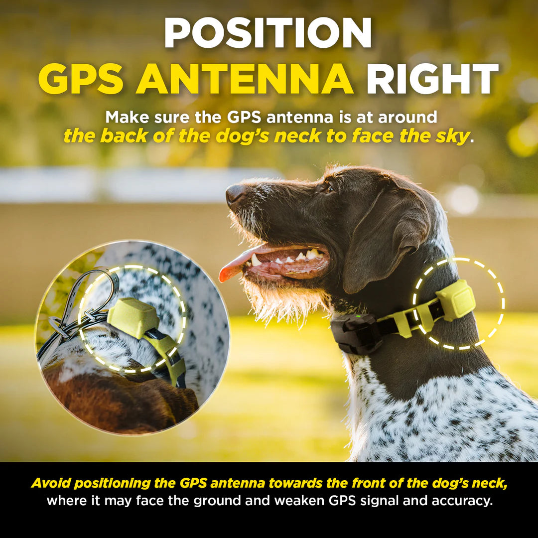 Dogtra GPS Fence draadloze GPS hondenomheining zonder abonnement, waterdichte GPS-halsband met virtuele omheining, veilige trainingsfuncties en instelbare grenzen voor grote tuinen en terreinen, Dog - Expert webshop voor gespecialiseerd hondenmateriaal