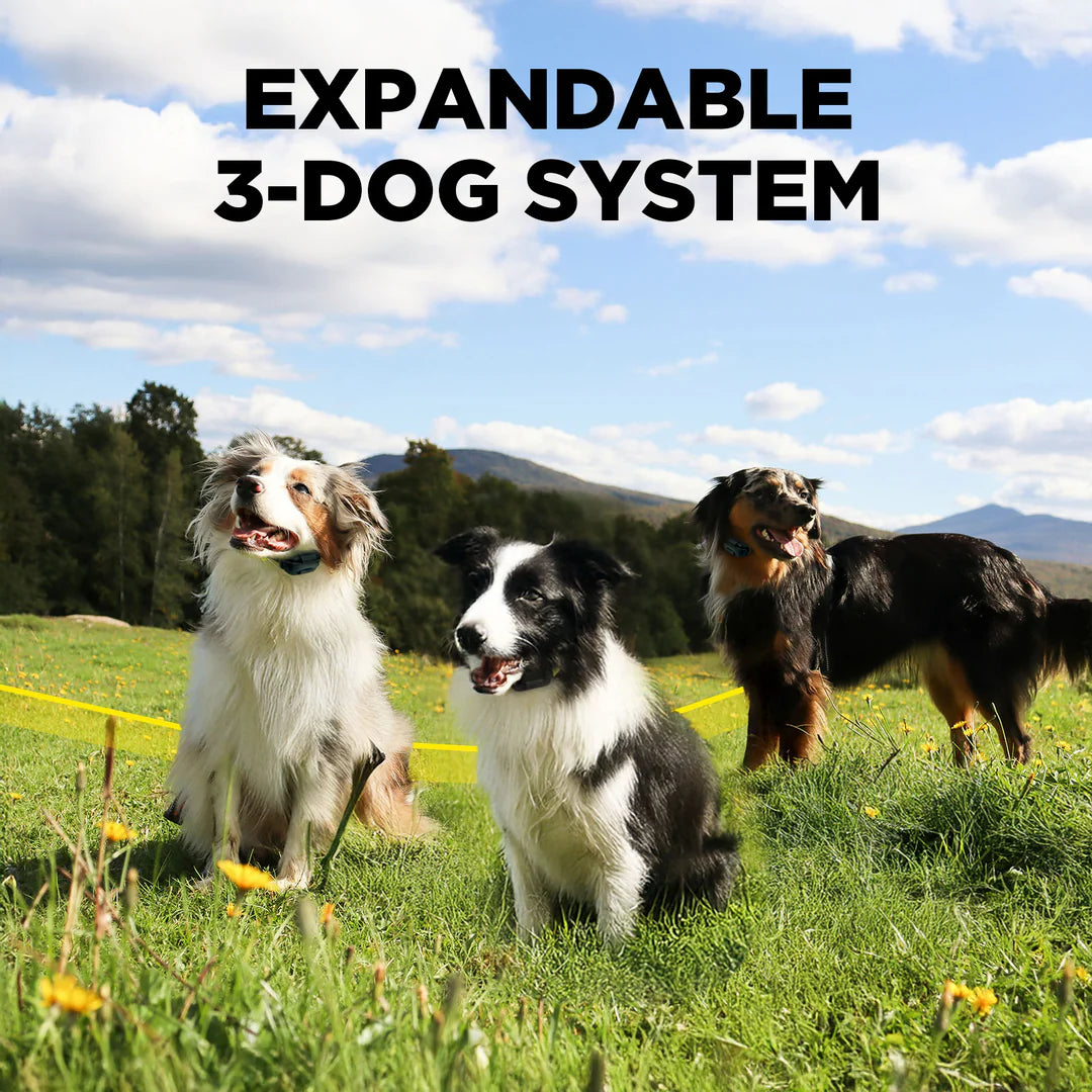 Dogtra GPS Fence draadloze GPS hondenomheining zonder abonnement, waterdichte GPS-halsband met virtuele omheining, veilige trainingsfuncties en instelbare grenzen voor grote tuinen en terreinen, Dog - Expert webshop voor gespecialiseerd hondenmateriaal
