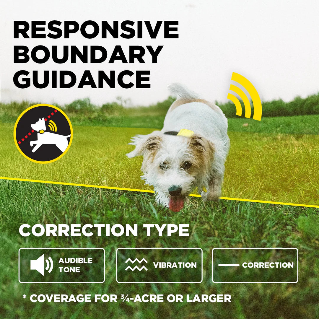 Dogtra GPS Fence draadloze GPS hondenomheining zonder abonnement, waterdichte GPS-halsband met virtuele omheining, veilige trainingsfuncties en instelbare grenzen voor grote tuinen en terreinen, Dog - Expert webshop voor gespecialiseerd hondenmateriaal