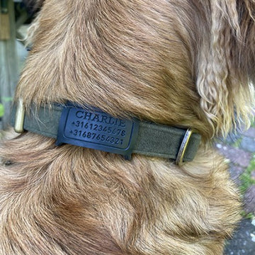 Grote hondenhalsbandplaat van rubber, maat 60x29 mm, geschikt voor graveren van 3 regels tekst, doorvoer sleuven 23 mm, maximaal 15 tekens per regel.