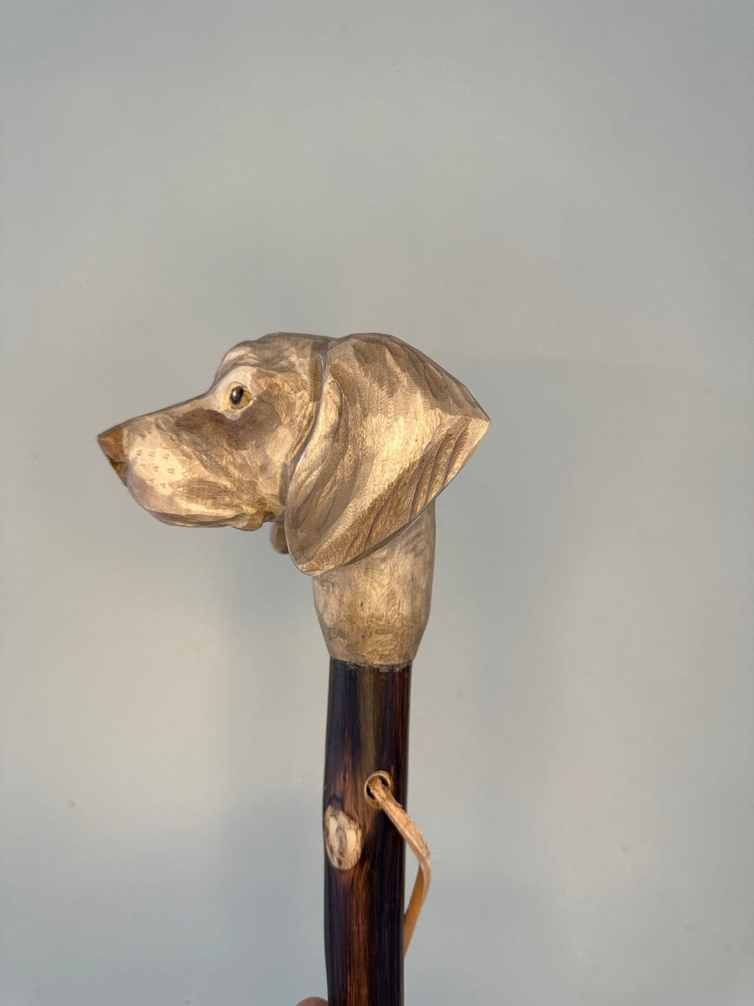 Handgemaakte jacht- en wandelstok van kastanjehout, licht en stevig, ca. 150 cm lang, met lederen handlus en keuze tussen bergtop met ijzeren pin of rubberen dop, model Retriever, uniek ambachtelijk product.