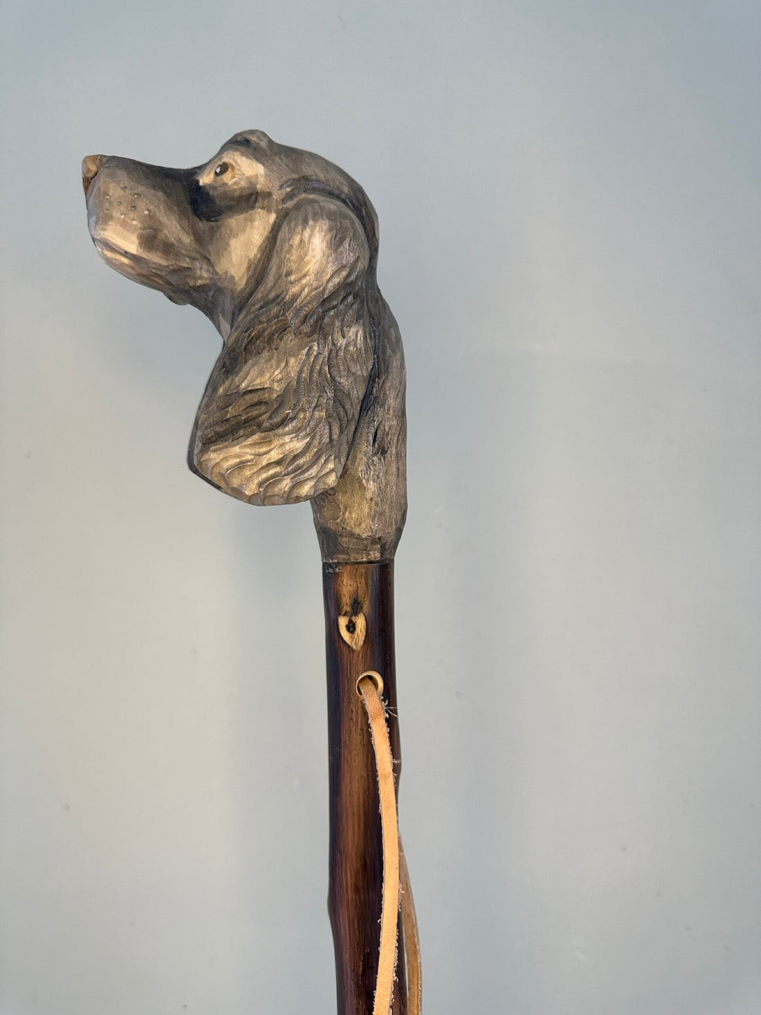 Handgemaakte jacht- en wandelstok van kastanjehout, licht en stevig, ca. 150 cm lang, met lederen handlus en keuze tussen bergtop met ijzeren pin of rubberen dop, model Engelse Cocker Spaniël, uniek ambachtelijk product.