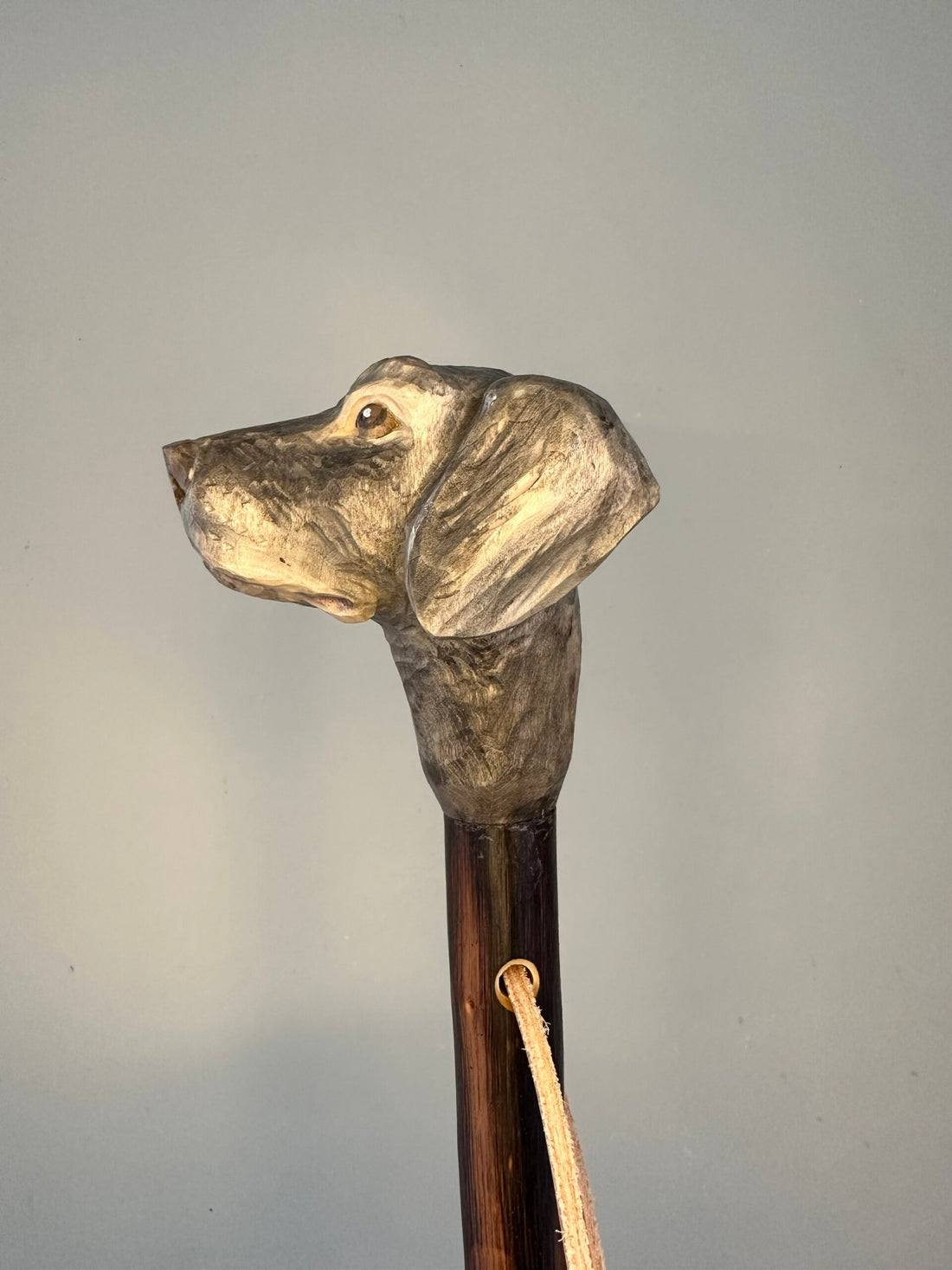 Handgemaakte jacht- en wandelstok van kastanjehout, licht en stevig, ca. 150 cm lang, met lederen handlus en keuze tussen bergtop met ijzeren pin of rubberen dop, model Labrador, uniek ambachtelijk product.