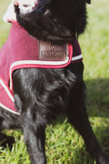 Hondenjas van zware fleece, 100% polyester, licht, warm en ademend, met namaak schapenwol aan de hals, kap uitklapbaar, machinewasbaar op 30°C.