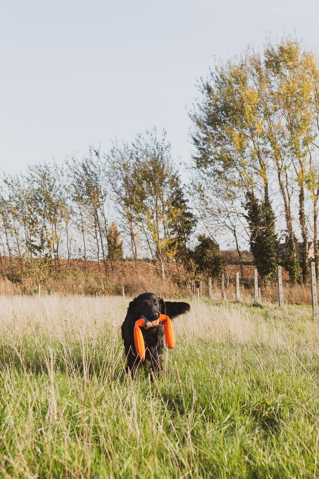 3-delige trainingsdummy voor honden, 100% nylon met konijnenbont, duurzaam, 3,5 kg.
