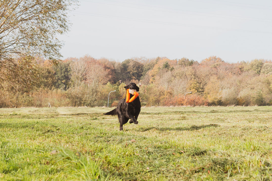 3-delige konijndummy 1,5kg