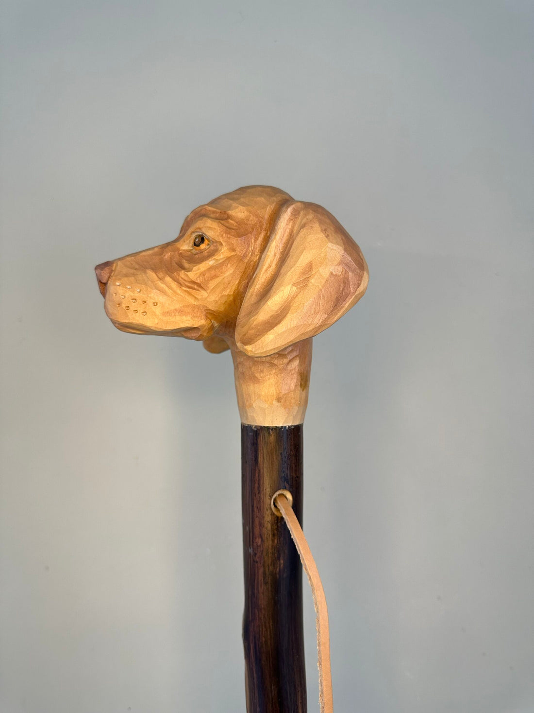 Handgemaakte jacht- en wandelstok van kastanjehout, licht en stevig, ca. 150 cm lang, met lederen handlus en keuze tussen bergtop met ijzeren pin of rubberen dop, model Vizsla–Weimaraner, uniek ambachtelijk product.