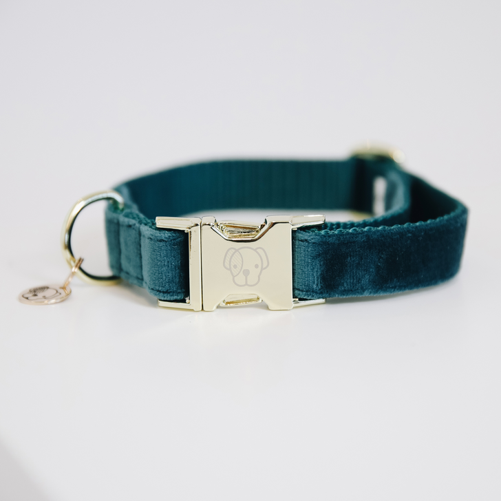 Kentucky Dogwear Velvet hondenhalsband, stijlvol en kleurvol, microvezel met nylon voering voor comfort en stevigheid, verstelbaar met handige clip, gravurehanger voor hondenaam, passend bij Velvet hondenleiband.