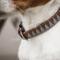 Triangle hondenhalsband van Kentucky Dogwear, stijlvol, stevig, met gravurehanger, passend bij Velvet en Loop leibanden.