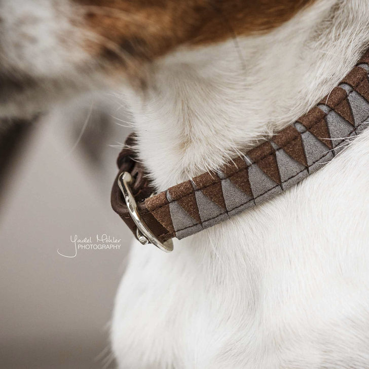 Triangle hondenhalsband van Kentucky Dogwear, stijlvol, stevig, met gravurehanger, passend bij Velvet en Loop leibanden.