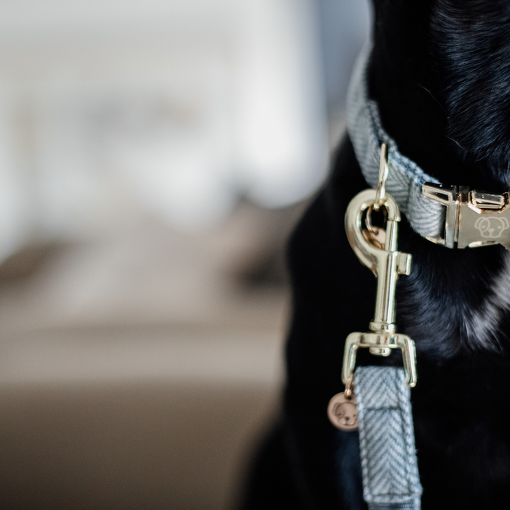 Hondenhalsband van wollook stof, vegan, met nylon voering voor comfort en stevigheid, verstelbare maat, voorzien van ring en handige clip, machinewasbaar op 30°C, past bij bijpassende leiband.