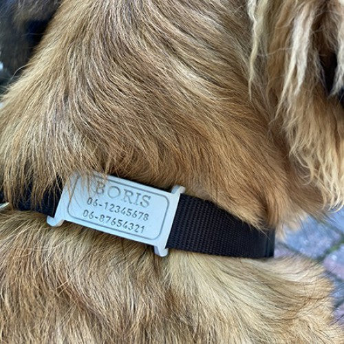 Kleine rubberen hondenhalsbandplaat van 52x25 mm, geschikt voor maximaal 3 regels tekst (12 tekens per regel), met doorvoergaten van 20 mm.
