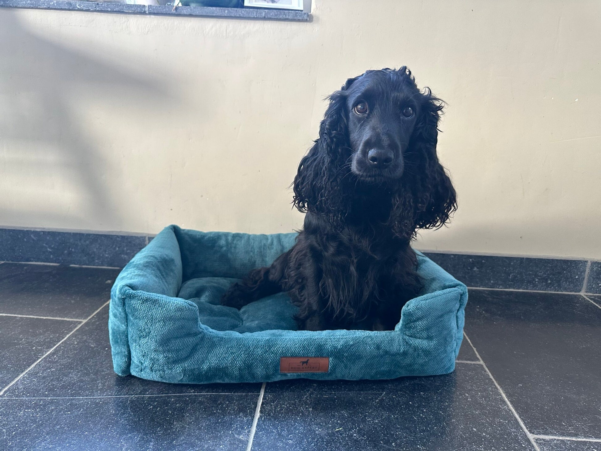 Lotus Mand huisdierbed voor kleine en middelgrote honden en katten, zacht pluche met hypoallergene vulling, afneembare hoes en omkeerbaar kussen voor extra comfort en knusse rustplaats.