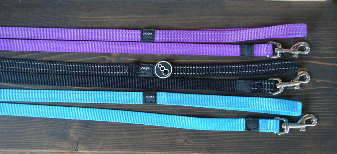 Rogz halsband en leiband set puppy