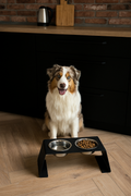 Verhoogde voerbak voor hond en kat in modern design met stalen statief en RVS kommen: Dog - Expert webshop voor gespecialiseerd hondenmateriaal