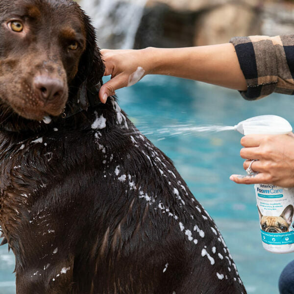 Vetericyn FoamCare huid- en vachtverzorging voor huisdieren, spray/foam/rinse, reinigt en voedt de huid, pH-neutraal en niet-irriterend