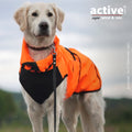 Action Factory Active Cape Elastic Wind & Regen hondenjas in oranje, wind- en regenwerende hondenregenjas met elastische pasvorm en 3000 mm waterkolom voor wandelen, training en outdoor, Dog - Expert webshop voor gespecialiseerd hondenmateriaal