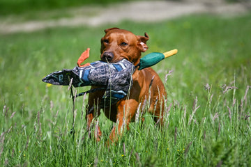 Canvas dummy voor honden met eendenprint geschikt voor water en apporteertraining