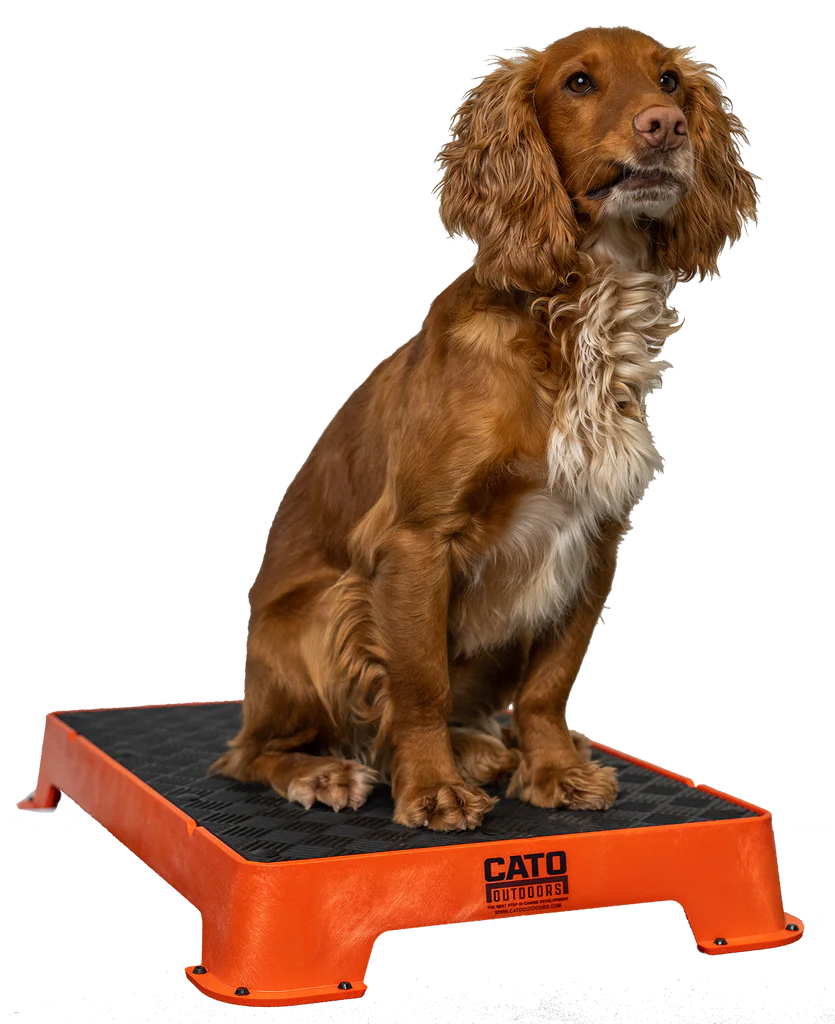 Cato Placeboard for dogs: durable, non-tip training platform with high-traction surface, built-in water drainage, rubber feet for stability on smooth floors, stackable design. Dimensions: 40.6 × 60.9 × 8.9 cm, weight 3.5 kg.