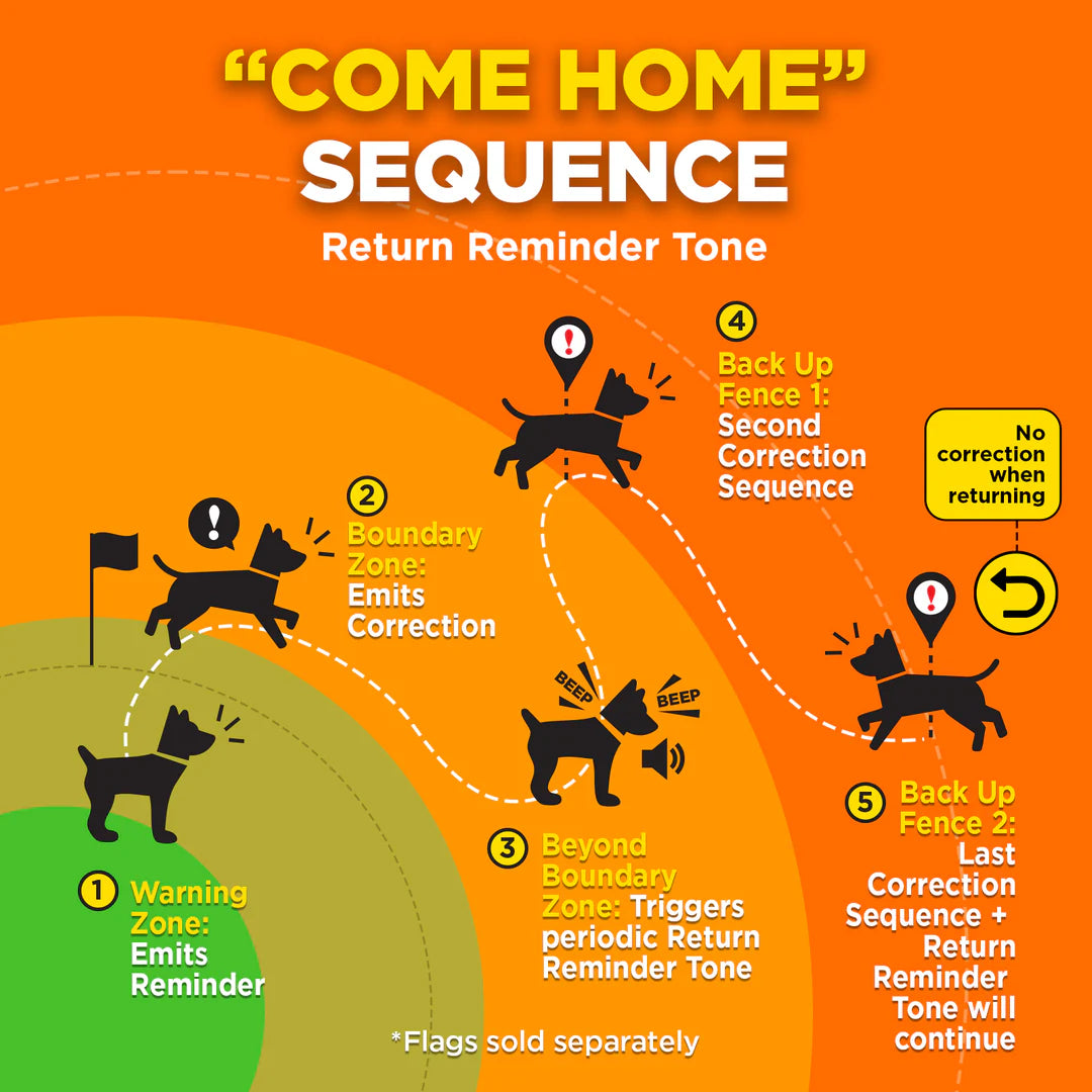 Dogtra GPS Fence draadloze GPS hondenomheining zonder abonnement, waterdichte GPS-halsband met virtuele omheining, veilige trainingsfuncties en instelbare grenzen voor grote tuinen en terreinen, Dog - Expert webshop voor gespecialiseerd hondenmateriaal