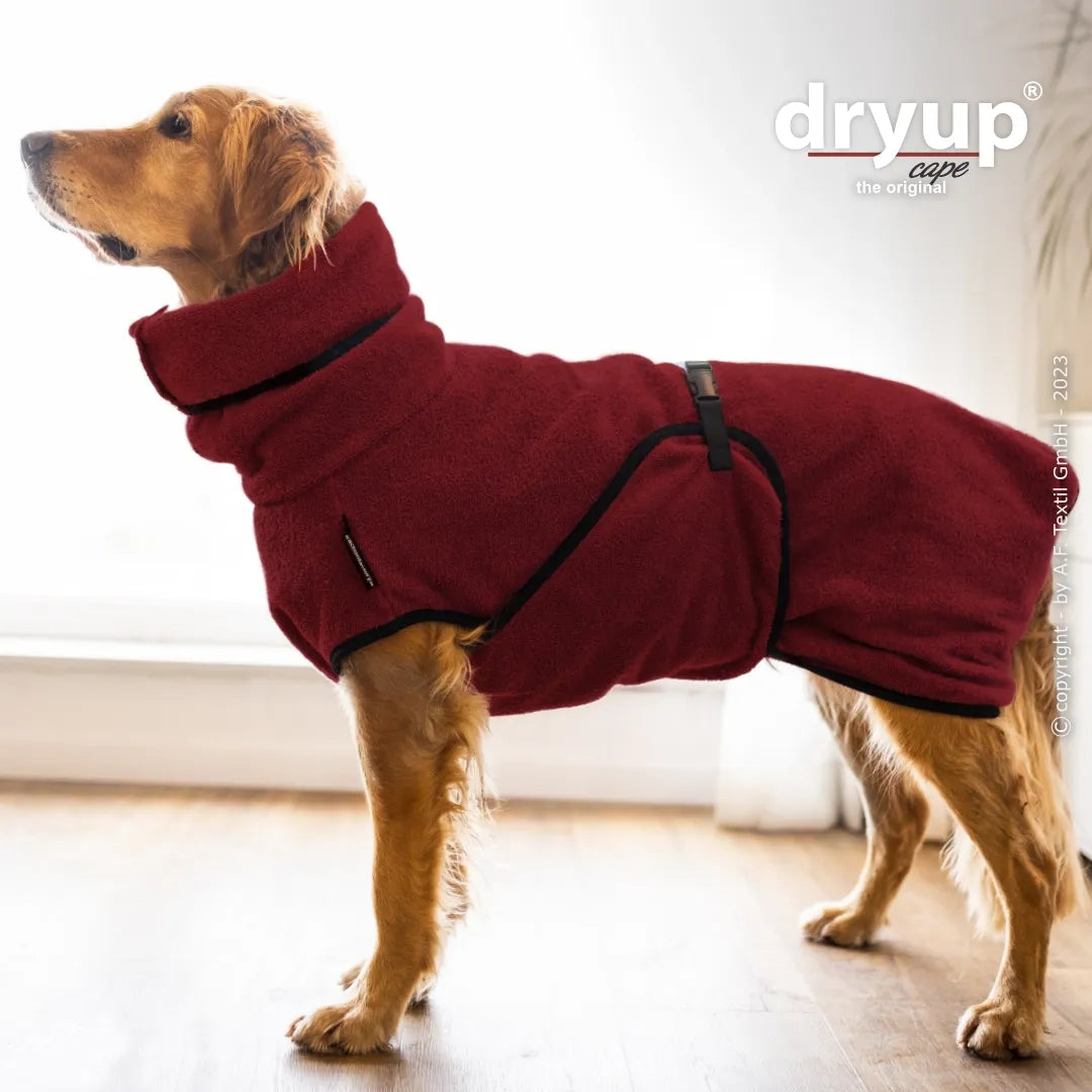DRYUP CAPE hondendroogcape van 100% katoen – snelle vochtabsorptie, vangt modder, zand en losse haren op, herbruikbaar en machinewasbaar, ideaal voor alle rassen na wandelen, zwemmen of douchen, Dog - Expert webshop voor gespecialiseerd hondenmateriaal,