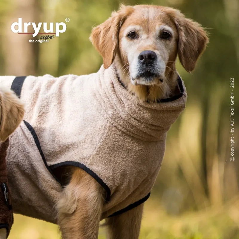 DRYUP CAPE hondendroogcape van 100% katoen – snelle vochtabsorptie, vangt modder, zand en losse haren op, herbruikbaar en machinewasbaar, ideaal voor alle rassen na wandelen, zwemmen of douchen, Dog - Expert webshop voor gespecialiseerd hondenmateriaal,