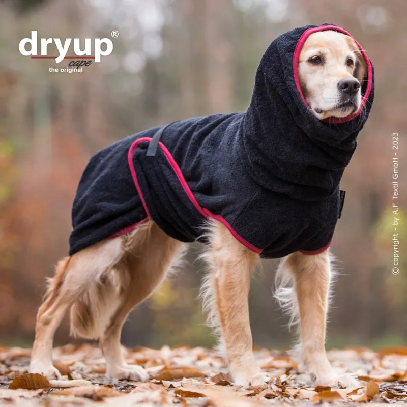 DRYUP CAPE hondendroogcape van 100% katoen – snelle vochtabsorptie, vangt modder, zand en losse haren op, herbruikbaar en machinewasbaar, ideaal voor alle rassen na wandelen, zwemmen of douchen, Dog - Expert webshop voor gespecialiseerd hondenmateriaal,