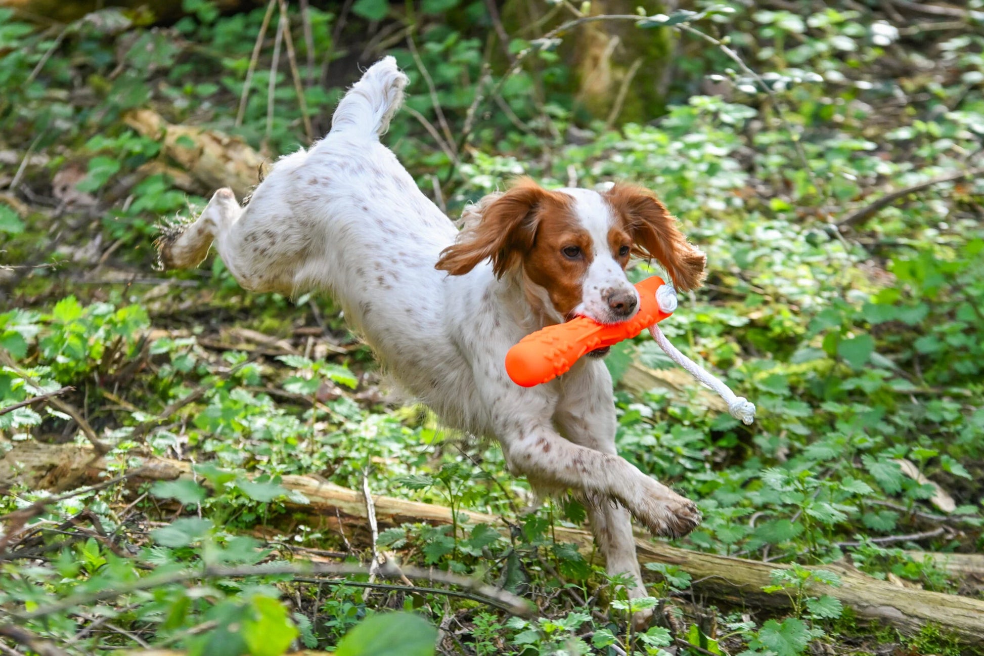 DT Systems Soft-Mouth Trainer GRIP-Tech apporteerdummy voor jacht- en werkhonden, waterdichte trainingsdummy met ergonomische grip voor zachte beet en apporteertraining op land en in het water, Dog - Expert webshop voor gespecialiseerd hondenmateriaal