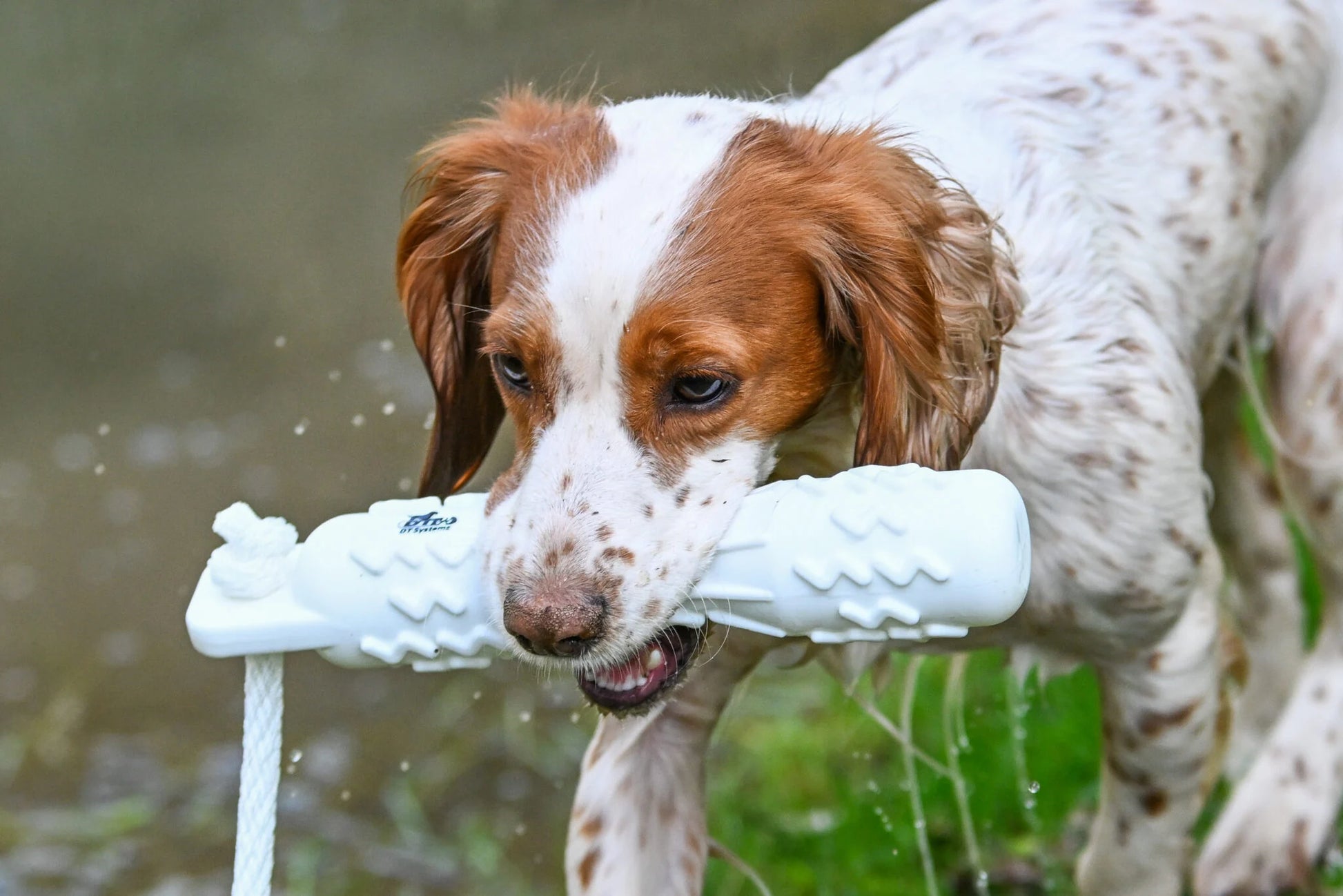 DT Systems Soft-Mouth Trainer GRIP-Tech apporteerdummy voor jacht- en werkhonden, waterdichte trainingsdummy met ergonomische grip voor zachte beet en apporteertraining op land en in het water, Dog - Expert webshop voor gespecialiseerd hondenmateriaal