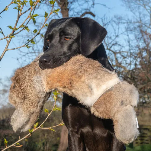 Volledig konijn dummy voor jachthonden, Real Feel Rabbit Dummy 700 g levensecht apporteren en trainingsdummy voor apporteeroefeningen