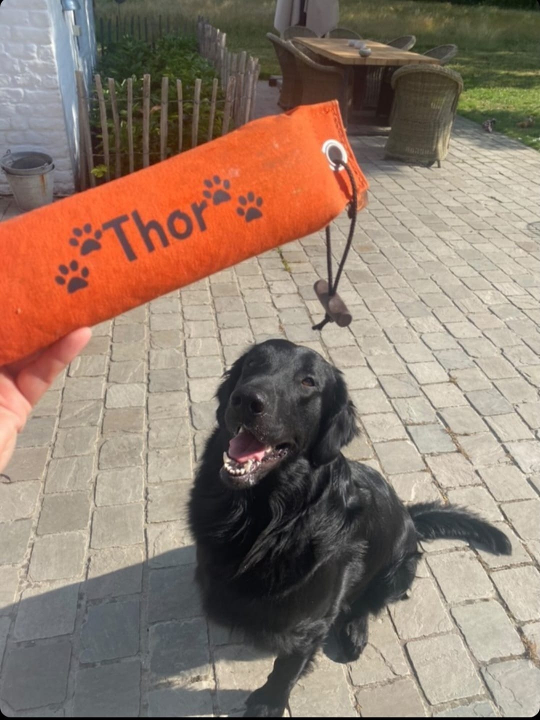 Honden dummy van canvas met ergonomisch handvat, geschikt voor training en water, 500gram