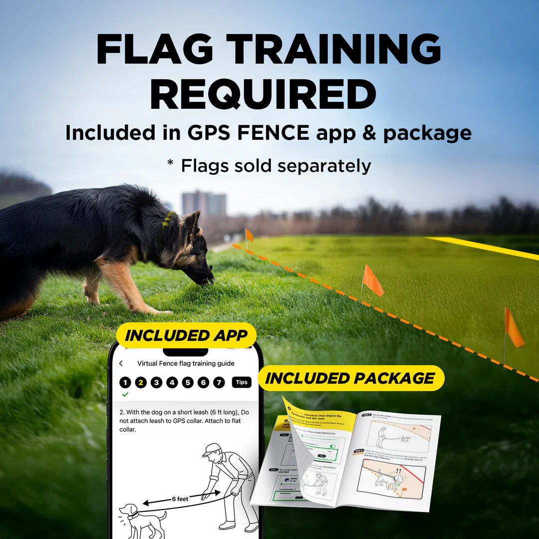 Dogtra GPS Fence draadloze GPS hondenomheining zonder abonnement, waterdichte GPS-halsband met virtuele omheining, veilige trainingsfuncties en instelbare grenzen voor grote tuinen en terreinen, Dog - Expert webshop voor gespecialiseerd hondenmateriaal
