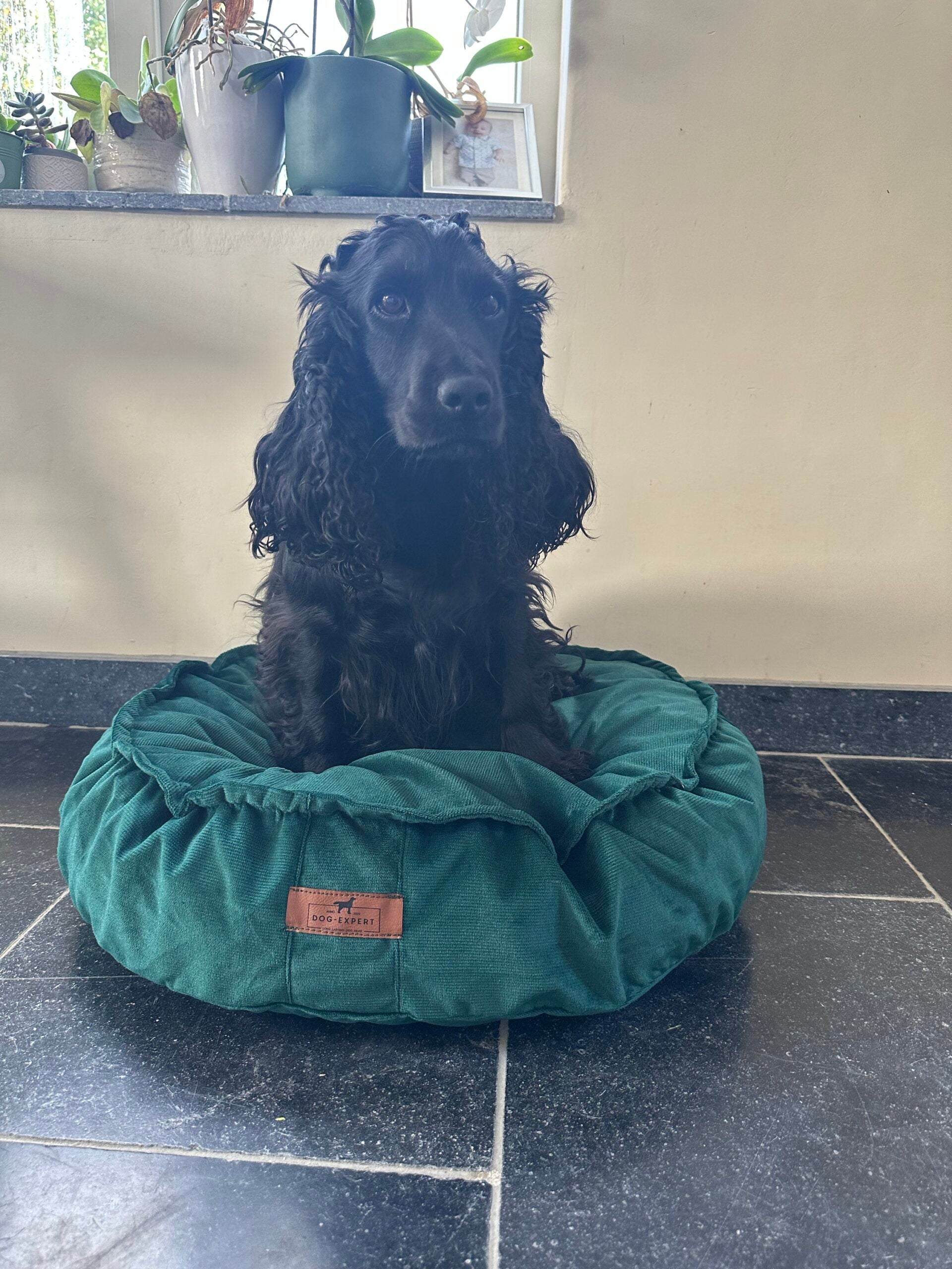 Ronde hondenpoef met fluwelen hoes, comfortabel en afneembaar