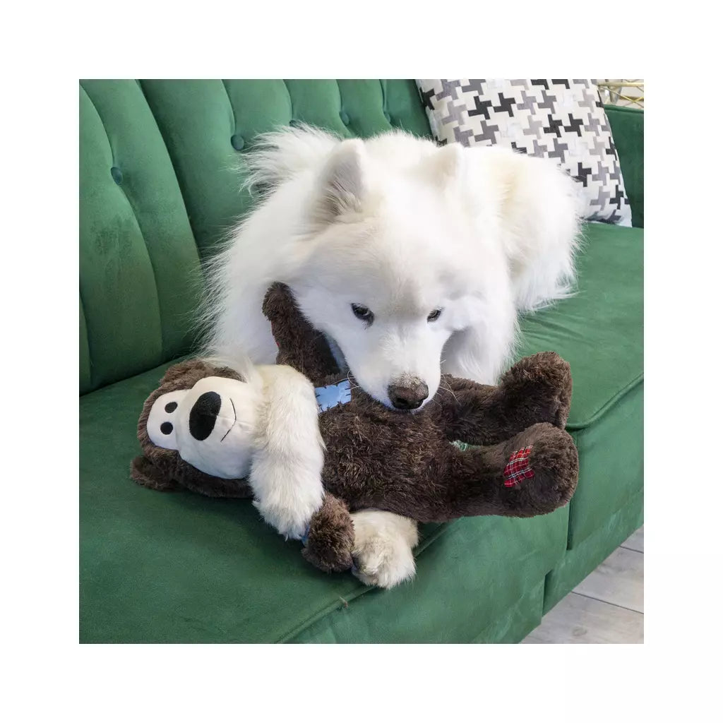 KONG Knots hondenspeelgoed pluche met intern touwskelet en pieper, duurzaam interactief hondenspeeltje voor schudden en trekken, zacht knuffelspeelgoed met verschillende texturen voor alle hondenformaten, Dog - Expert webshop voor gespecialiseerd hondenmateriaal