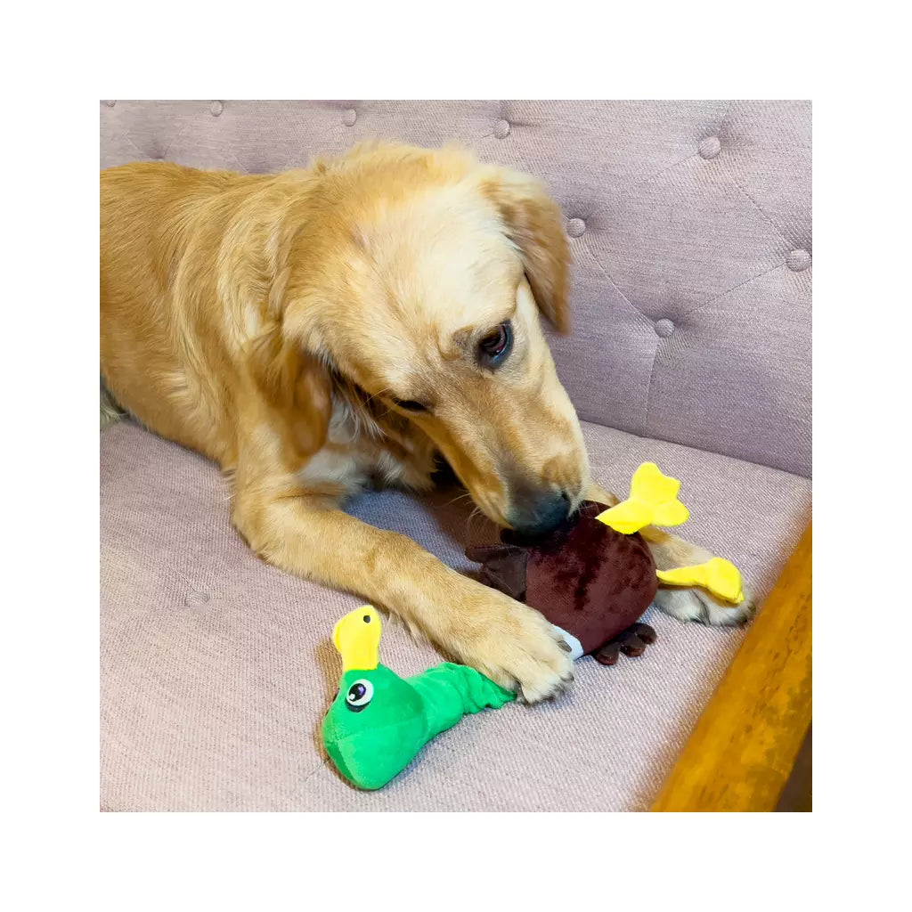 Sterk hondenspeelgoed Kong